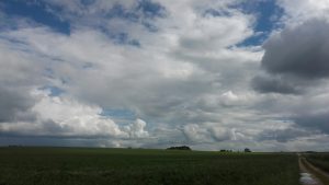 20160619_170613_resized